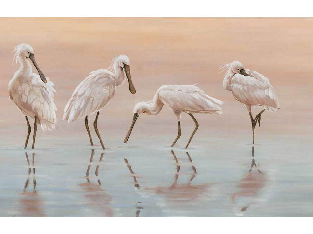 spoonbills-christmas-card-1