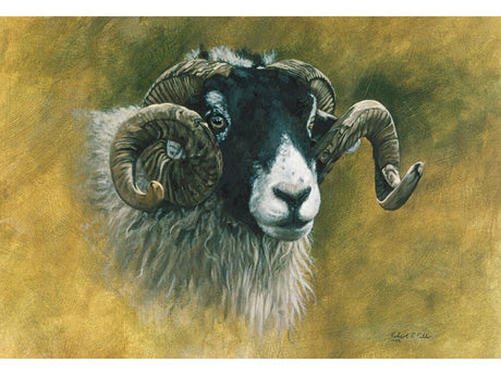 swaledale-card