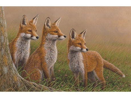 three-fox-cubs-card