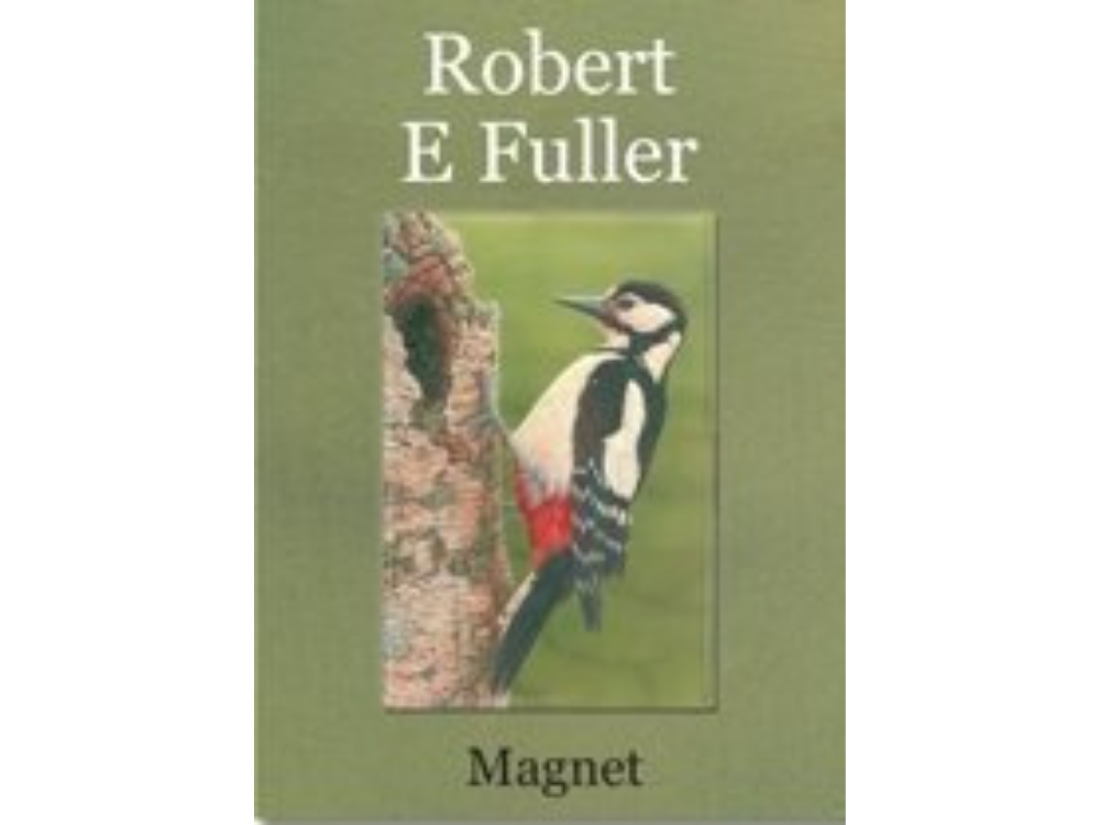 woodpecker-fridge-magnet