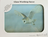 worktop-saver-barn-owl-in-box-1200