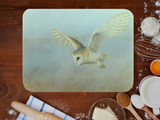 worktop-saver-lifestyle-barn-owl