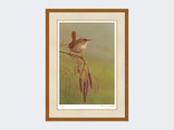 wren-on-catkins-rustic-country