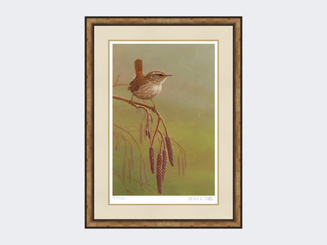 wren-on-catkins-small-light-burr