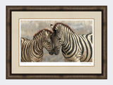 zebra-medium-dark-grey-burr